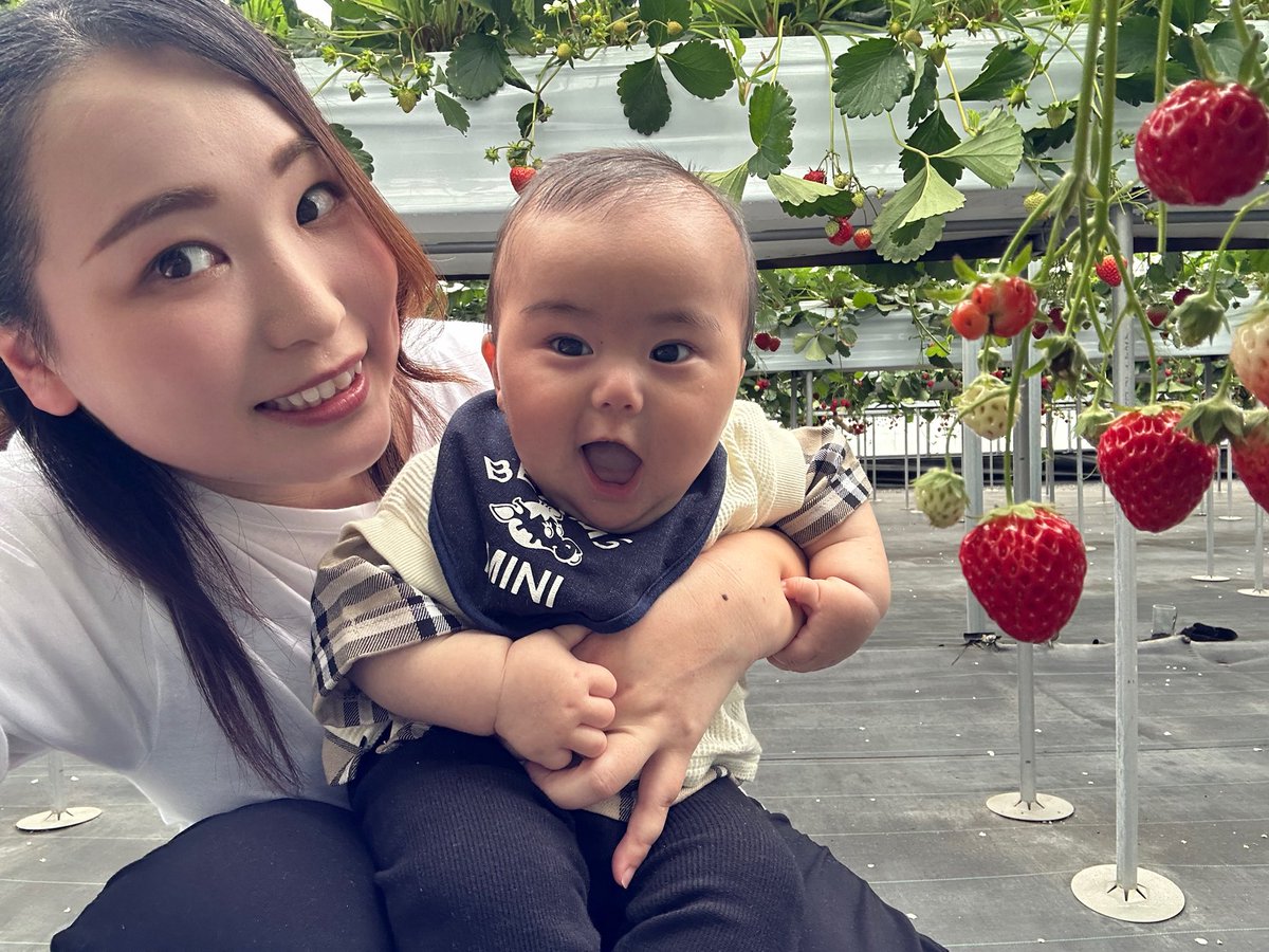 muu883Harley's tweet photo. もう少しで7ヶ月👶🏻🍼
毎日が可愛くて愛しくて、これからもこんな幸せな時間が一生続けばいいのにってすごく思う。けど実際は、養育費や婚約破棄の慰謝料0だから、これからのお金はほんとしっかり考えないと。仕事も探さないと、、だけどねー🥲💭 https://t.co/CJCvvH5qV3