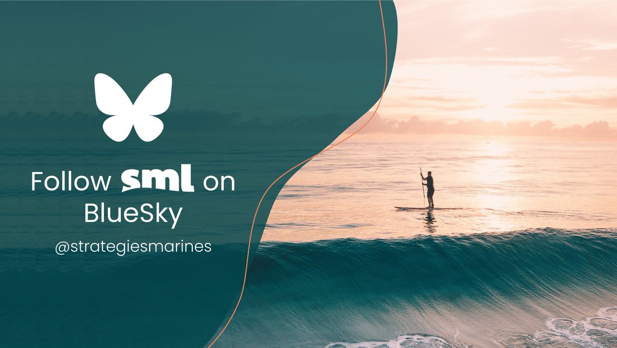 SML - Strategies Marines tweet media