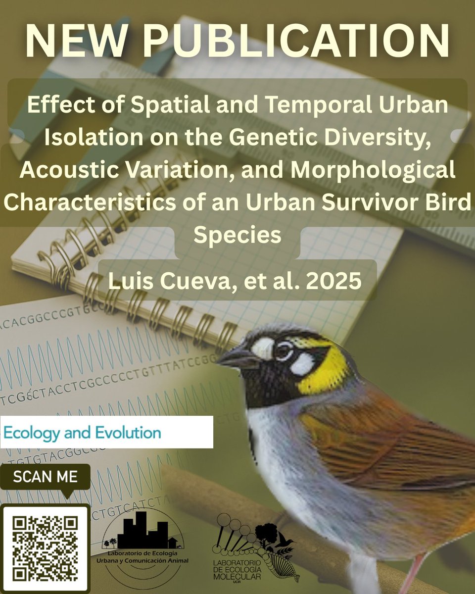 E_J_Fuchs's tweet photo. New Publication: "Effect of Spatial and Temporal Urban Isolation on the Genetic Diversity, Acoustic Variation, and Morphological Characteristics of an Urban Survivor Bird Species." Ecology and Evolution.
 https://t.co/JTmA3fH0rv https://t.co/gNdItfTOMX