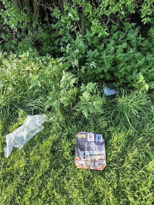 Buttercups & Bullrushes (@bbullrushes) on Twitter photo So disappointed to see yet another barbecue littering the park off Field Lane, Derby. Just ยฃ3 buys one of these things to damage the park & risk setting the hedgerow alight
๐ก <a href="/DerbyCC/">Derby City Council</a> <a href="/DerbyshireFire/">Derbyshire Fire Rescue Service_RBLX</a>
<a href="/IcelandFoods/">Iceland Foods โ๏ธ</a> <a href="/Morrisons/">Morrisons</a> <a href="/asda/">Asda</a> <a href="/Tesco/">Tesco</a> <a href="/SamanthaNiblet4/">Samantha Niblett MP</a> <a href="/BaggyShanker/">Baggy Shanker MP</a> So disappointed to see yet another barbecue littering the park off Field Lane, Derby. Just ยฃ3 buys one of these things to damage the park & risk setting the hedgerow alight
๐ก <a href="/DerbyCC/">Derby City Council</a> <a href="/DerbyshireFire/">Derbyshire Fire Rescue Service_RBLX</a>
<a href="/IcelandFoods/">Iceland Foods โ๏ธ</a> <a href="/Morrisons/">Morrisons</a> <a href="/asda/">Asda</a> <a href="/Tesco/">Tesco</a> <a href="/SamanthaNiblet4/">Samantha Niblett MP</a> <a href="/BaggyShanker/">Baggy Shanker MP</a>