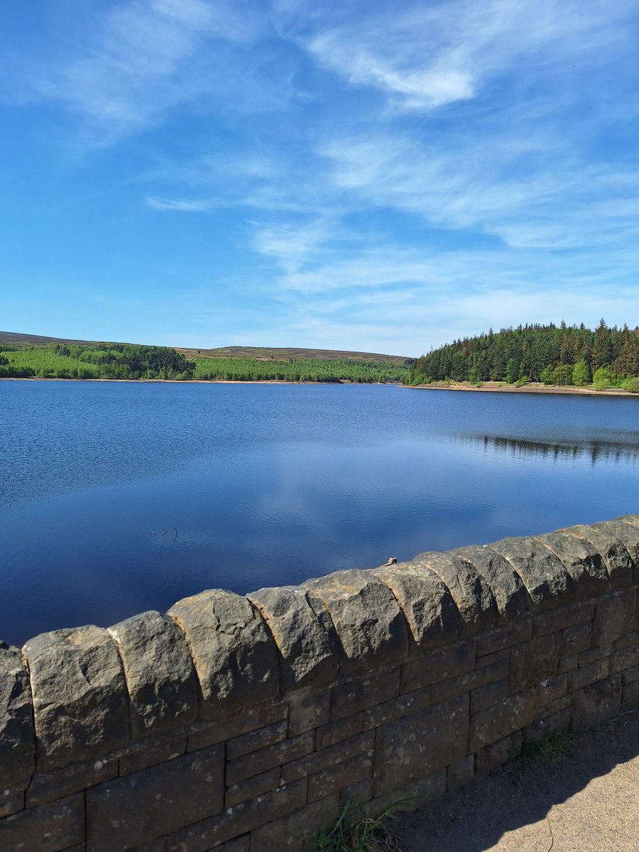 richwilkes7's tweet photo. Nice morning walk #langsett #walkingsbrilliant https://t.co/skkFZRwrev