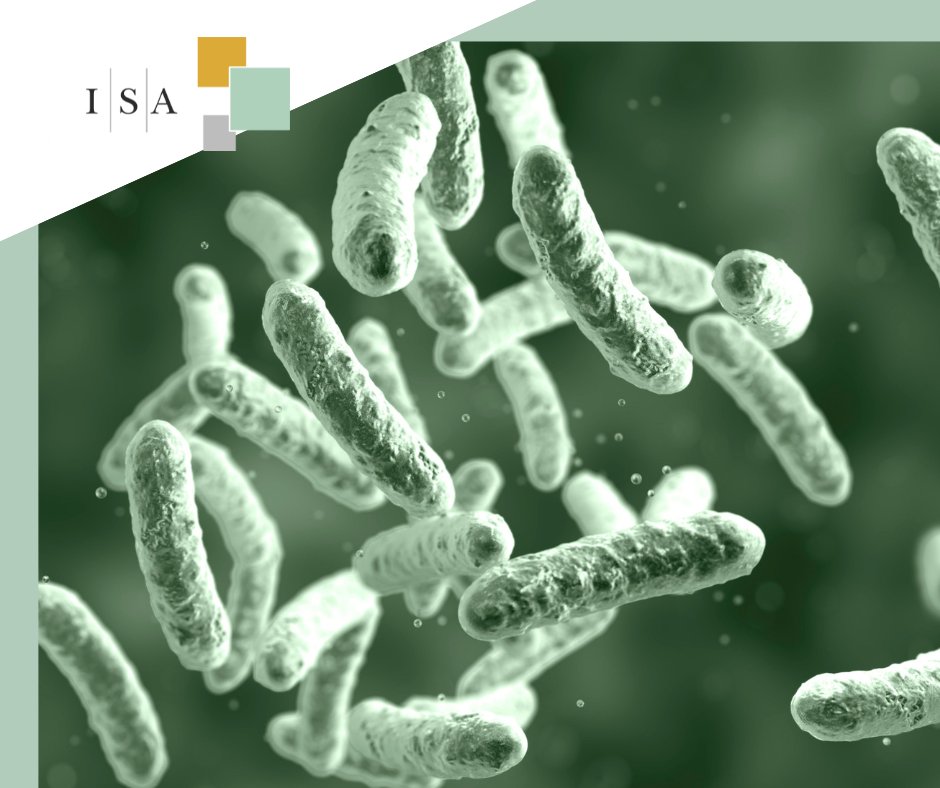 develop_isa's tweet photo. Our Level Legionella Awareness course is designed to equip you and your team with essential knowledge to prevent Legionella outbreaks and maintain a safe environment in the workplace. 

Find out more here -  https://t.co/Gjh0ZqUGk7

#WaterSystemSafety #HealthAndSafety https://t.co/uTbC0v0cyY