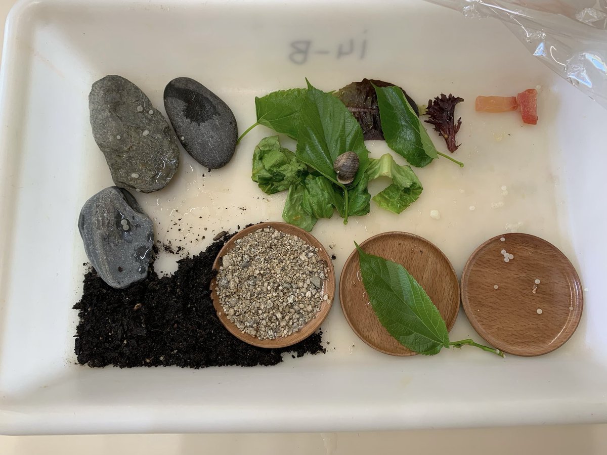 Renaixença Hostalets tweet media