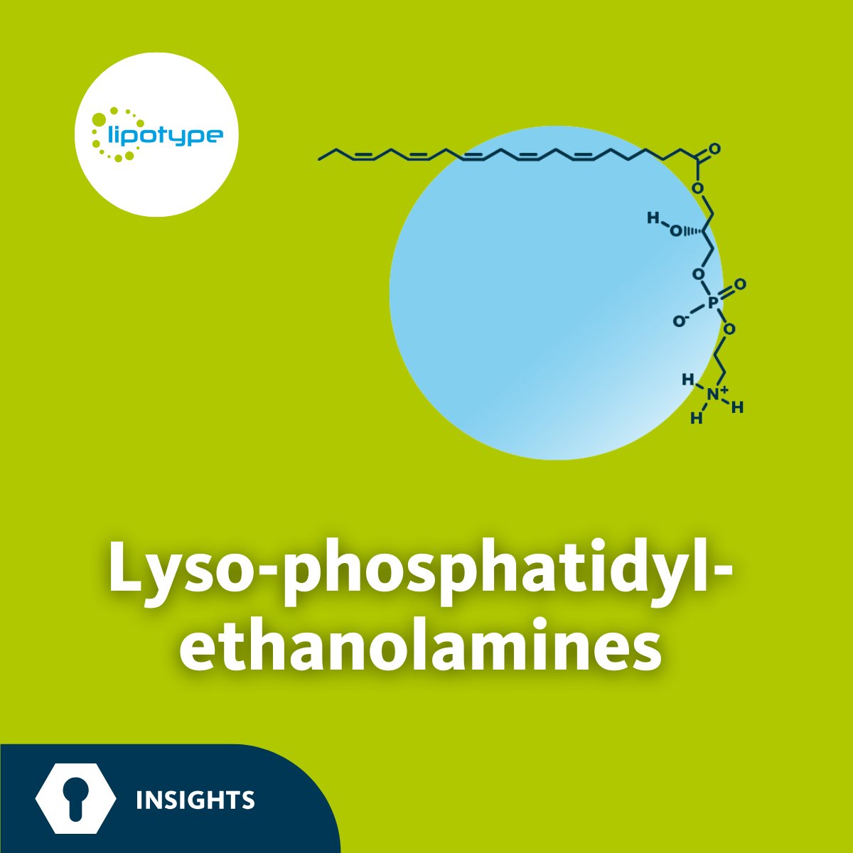 Lipotype_Global's tweet photo. #LPEs are key players in cellular activities such as neuronal cell differentiation and migration, and they are also implicated in the movement of various cancer cell types. LPEs have been reported to play a role in #ferroptosis.
More:
https://t.co/EElwTGi9Oi
#Lipidomics https://t.co/6jpzDCbRpP