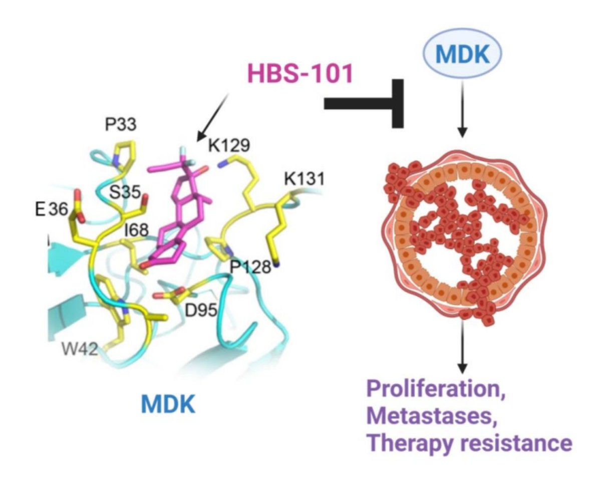 Online now. Simultaneous publication with an #AACR25 poster: The #FirstDisclosure of HBS-101, a novel inhibitor of midkine, as a therapeutic agent for the treatment of triple negative breast cancer: doi.org/10.1158/1535-7…
<a href="/AACR/">AACR</a>