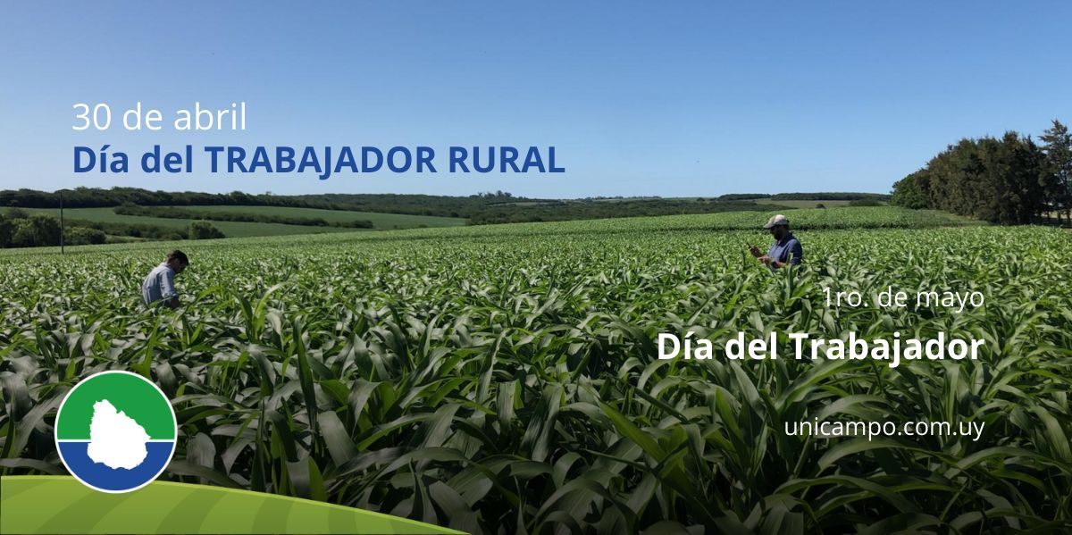 Sinónimo de constancia y valor, nuestro reconocimiento a quienes hacen posible el crecimiento del campo.
Desde todo nuestro equipo vaya un afectuoso saludo a todos los trabajadores rurales en su día, pilares de nuestra campaña.

#DiaDelTrabajador #DiaDelTrabajadorRural
