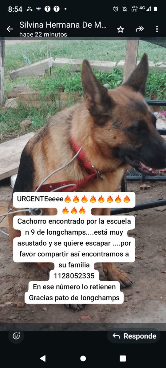 Rt
Urgente