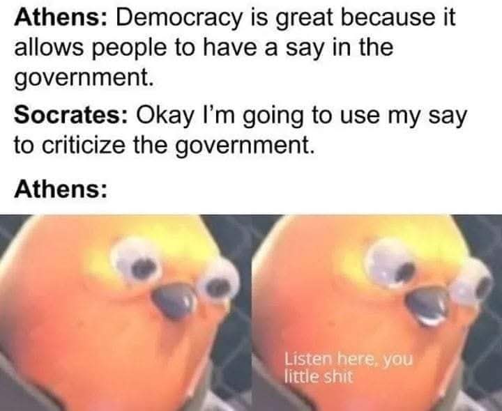 Classical Studies Memes tweet media