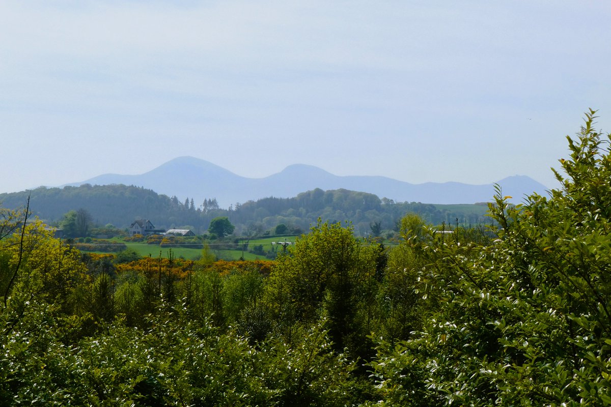 Derek Flack tweet media