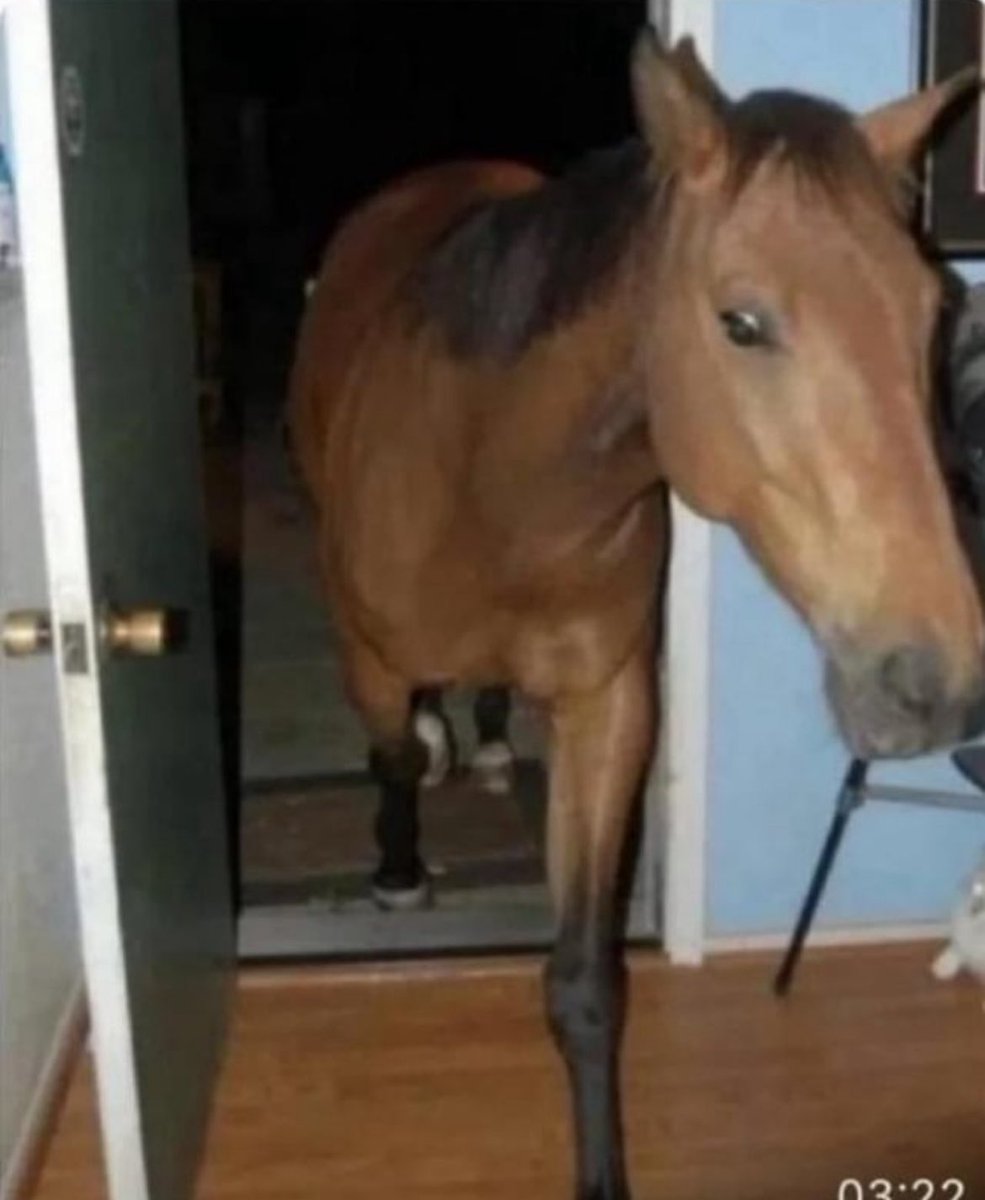 Showing up to <a href="/InspectorLottie/">🔑 — Charlotte Rose</a>’s office like