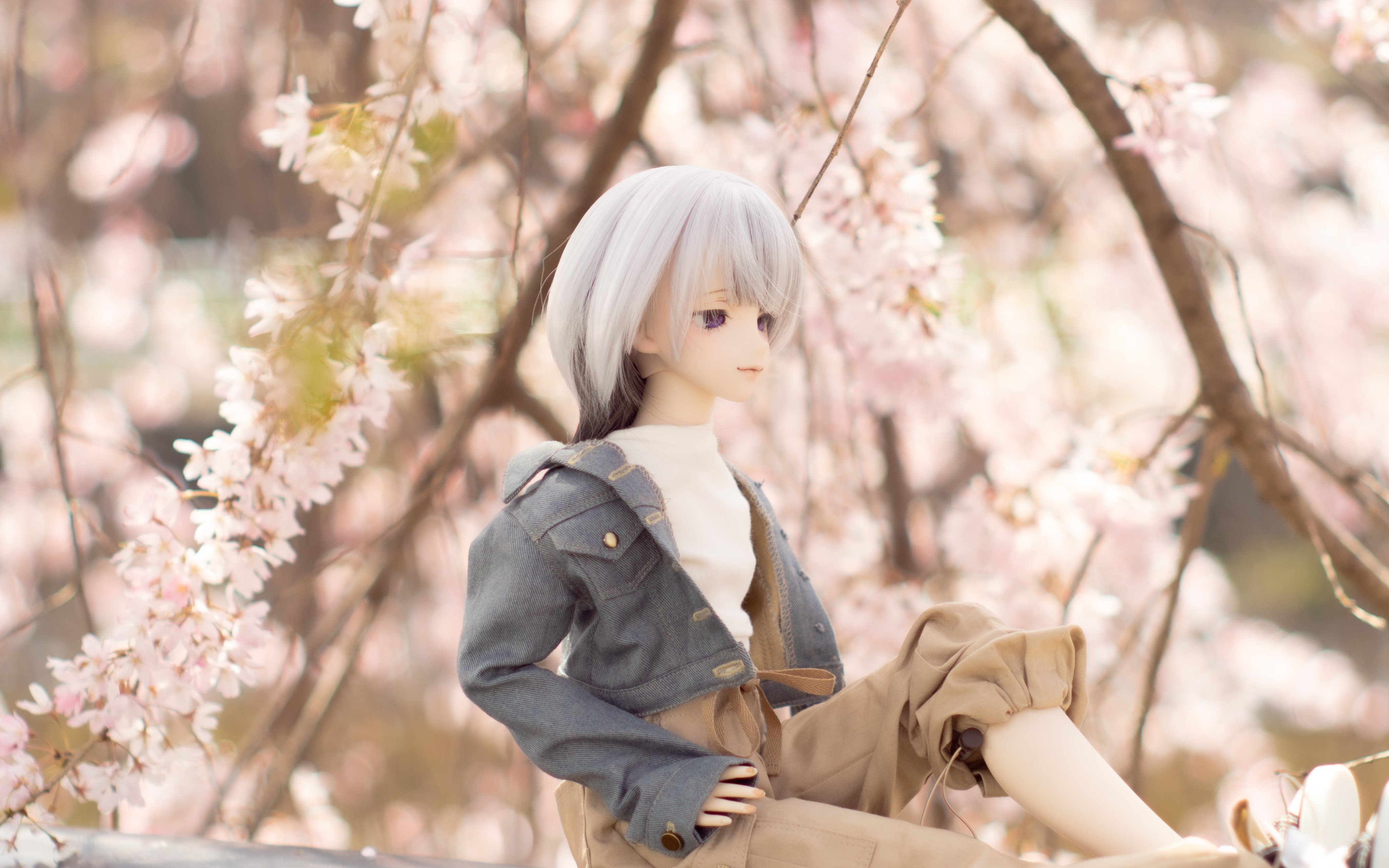 TOAClaris🌸とあ (@toaclaris) / X