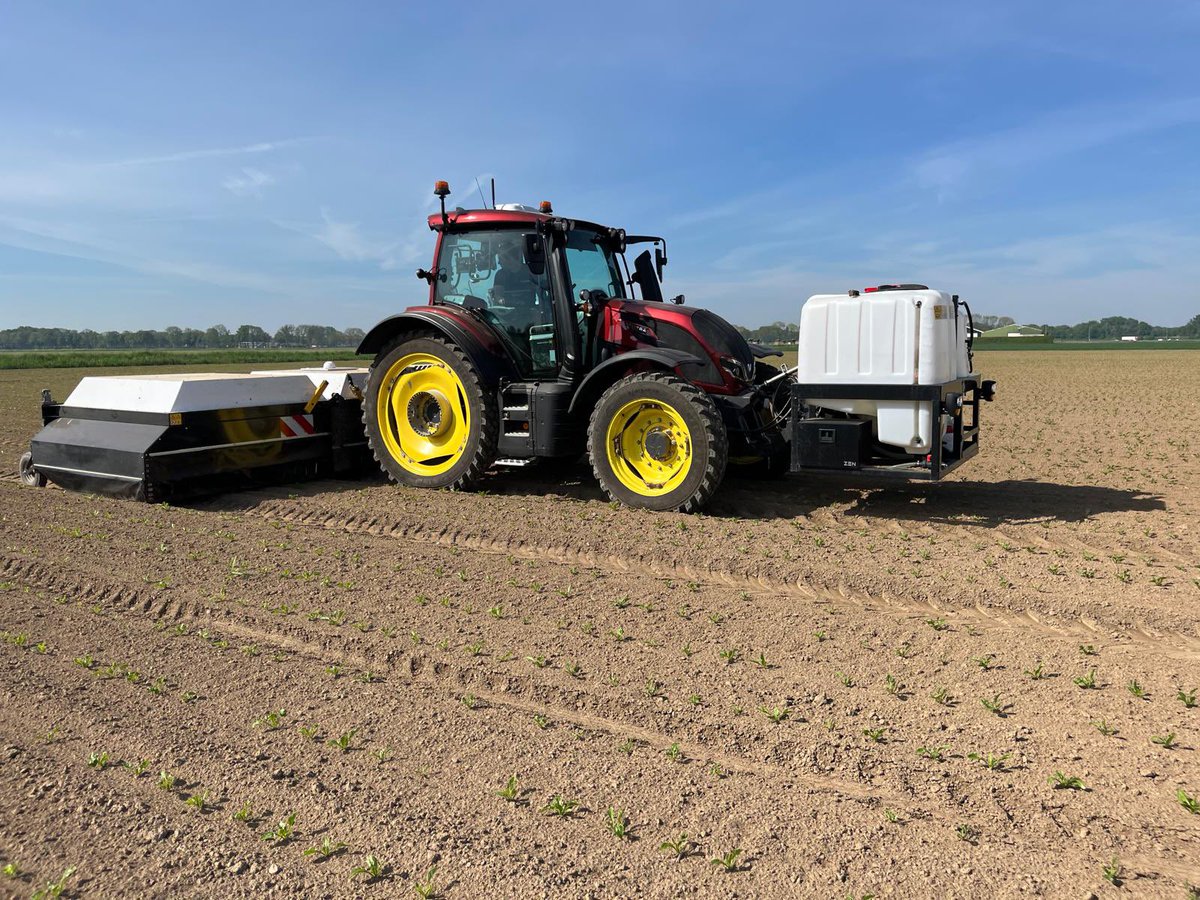 Schadedrempel overschreden. Inzet #ecorobotics middelbesparing 70%. Alleen middel op de suikerbieten.