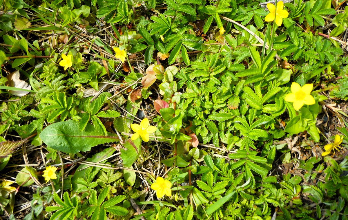 Derek Flack tweet media