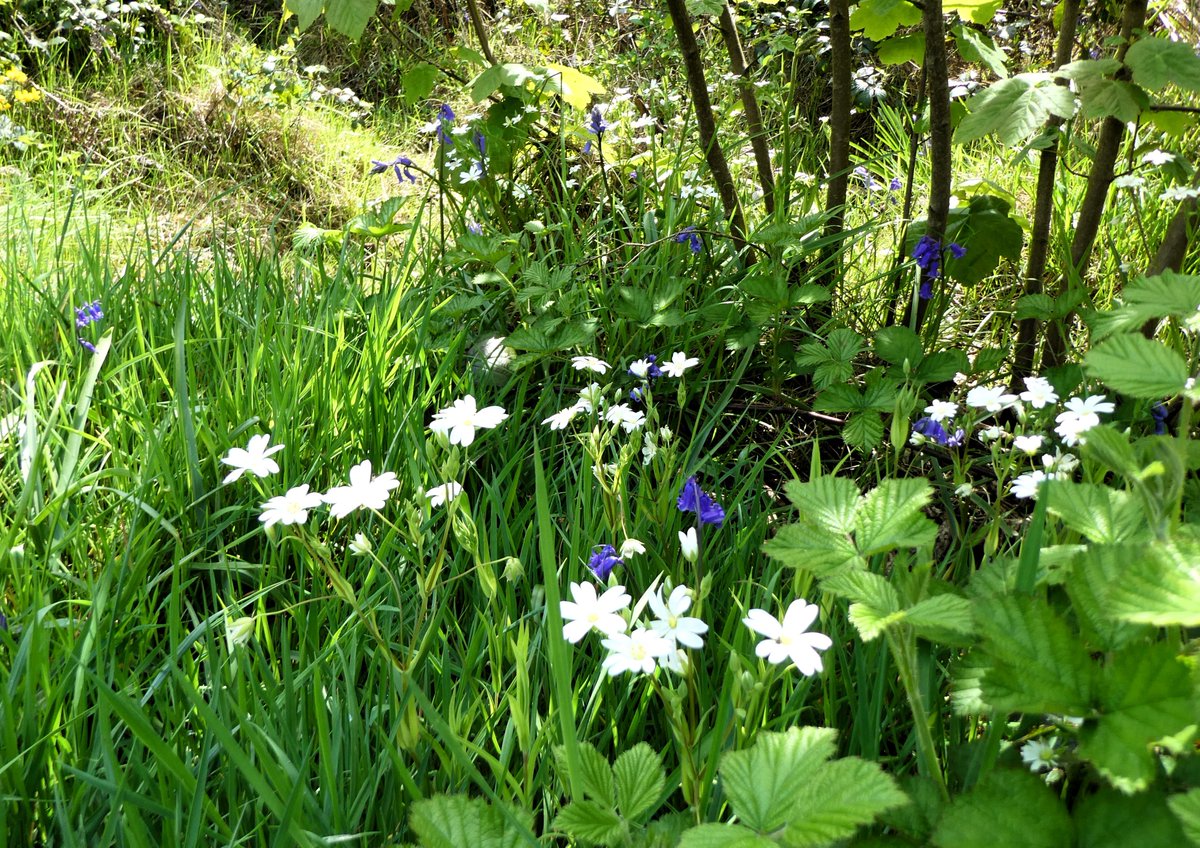 Derek Flack tweet media