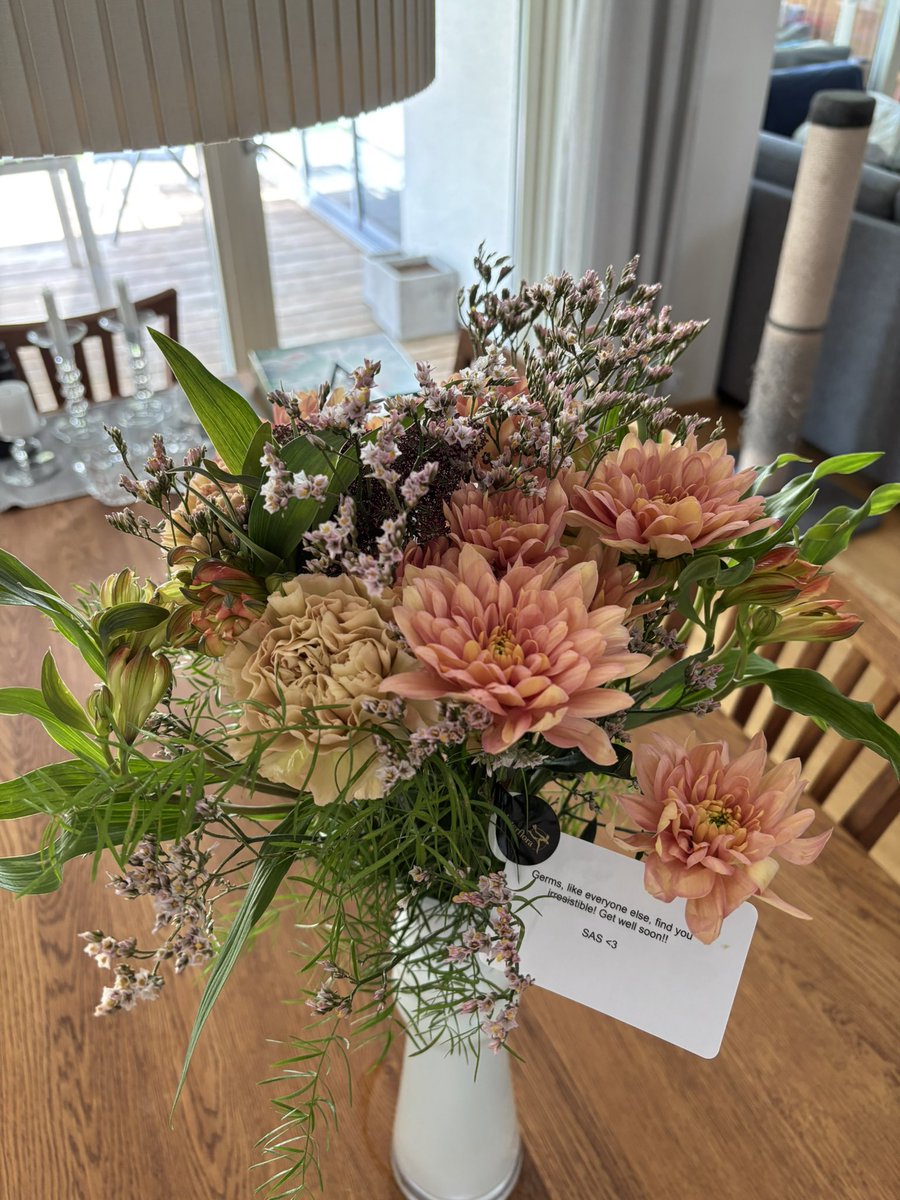 I have had some rough days lately, at hospital and at home. Starting to get better day by day and these precious flowers giving me a mega-giga-boost. 

Thank you team❤️
<a href="/aida__cs/">Aida</a> 
<a href="/KiTKaTCS2/">KiTKaT</a> 
<a href="/KittyTM_/">KittyTM</a> 
<a href="/julihcs/">julih</a>