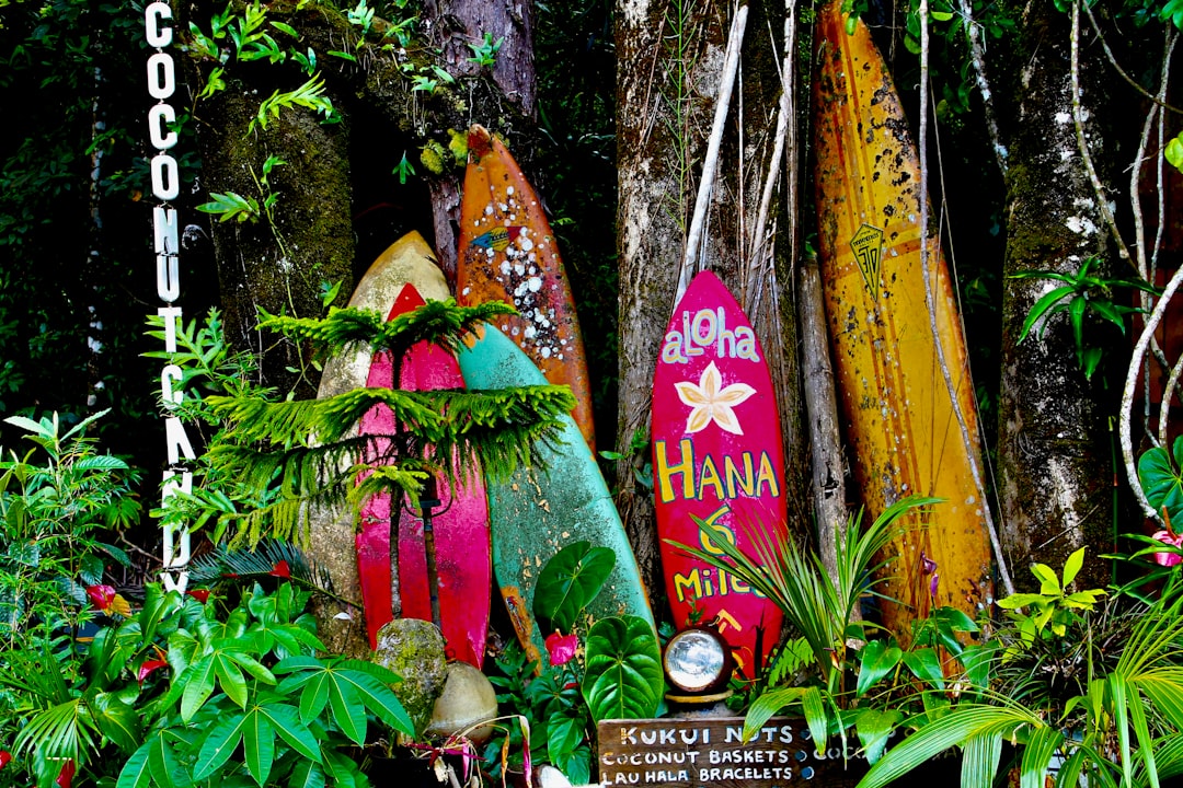 VoltekTest's tweet photo. Aloha, Hawaii! 🌺 We're thrilled to announce the grand opening of our new branch! Join us for a day of celebration, local flavors, and community fun. Can't wait to see you there! 🌊✨ #HawaiiBusiness #LocalFlavors https://t.co/fNyKbL4q0N
