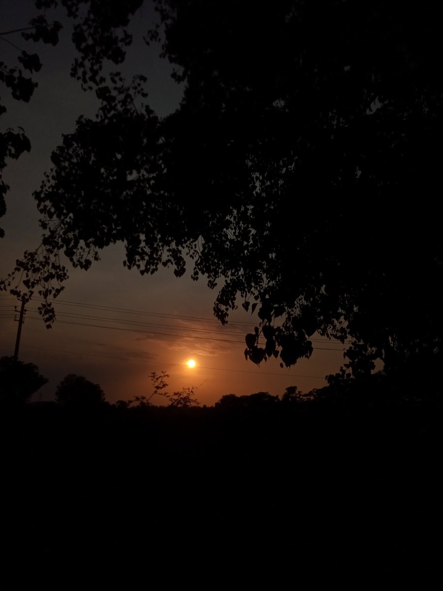 Appu_Jeevi's tweet image. Namaskara Janare 🙏😇
#BackHere