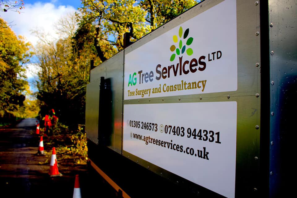 arborealconsult's tweet photo. Dorchester based tree surgeons - a very small sample of our work
https://t.co/hr3jHp26zm
#dorsettreesurgeons #treecare #arborists #treemanagement https://t.co/Zft9TV1AlQ
