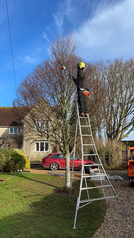arborealconsult's tweet photo. Dorchester based tree surgeons - a very small sample of our work
https://t.co/hr3jHp26zm
#dorsettreesurgeons #treecare #arborists #treemanagement https://t.co/Zft9TV1AlQ