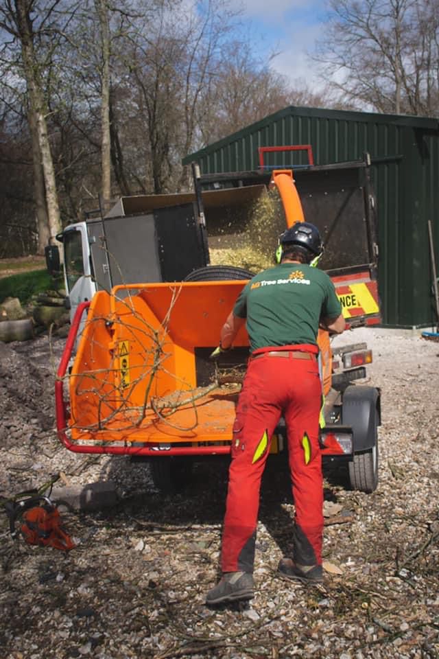 arborealconsult's tweet photo. Dorchester based tree surgeons - a very small sample of our work
https://t.co/hr3jHp26zm
#dorsettreesurgeons #treecare #arborists #treemanagement https://t.co/Zft9TV1AlQ