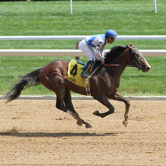 Claiborne Farm Bloodlines (@claiborneblood) on Twitter photo 🏆𝗧𝗜𝗠𝗘𝗢𝗨𝗧 𝗦𝗘𝗘𝗞𝗜𝗡𝗚 𝗙𝗜𝗥𝗦𝗧 𝗦𝗧𝗔𝗞𝗘𝗦 𝗪𝗜𝗡 𝗜𝗡 𝗜𝗦𝗔𝗔𝗖 𝗠𝗨𝗥𝗣𝗛𝗬
▪️Wed 4/30, Churchill 8, 1½ mi, 4:19pm
▪️Won 2 of last 3
▪️10:3-2-2 $198,217
▪️4/c Curlin - Lull, by War Front
▪️o/b.@ClaiborneFarm & Adele Dilschneider
▪️t.#BillMott
▪️j.<a href="/JuniorandKellyA/">Junior and Kelly Alvarado</a> 🏆𝗧𝗜𝗠𝗘𝗢𝗨𝗧 𝗦𝗘𝗘𝗞𝗜𝗡𝗚 𝗙𝗜𝗥𝗦𝗧 𝗦𝗧𝗔𝗞𝗘𝗦 𝗪𝗜𝗡 𝗜𝗡 𝗜𝗦𝗔𝗔𝗖 𝗠𝗨𝗥𝗣𝗛𝗬
▪️Wed 4/30, Churchill 8, 1½ mi, 4:19pm
▪️Won 2 of last 3
▪️10:3-2-2 $198,217
▪️4/c Curlin - Lull, by War Front
▪️o/b.@ClaiborneFarm & Adele Dilschneider
▪️t.#BillMott
▪️j.<a href="/JuniorandKellyA/">Junior and Kelly Alvarado</a>