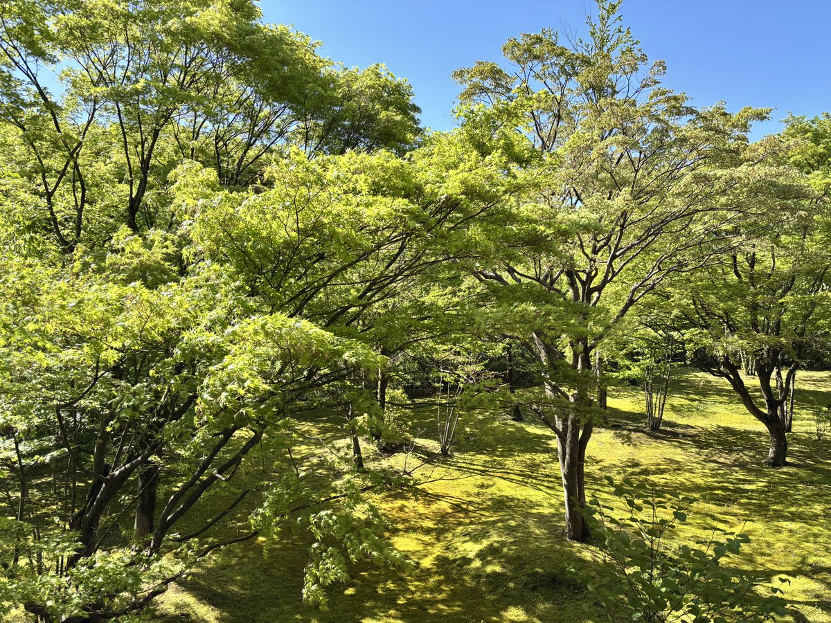 gw前半は、鬼怒川温泉にて
#STEPNGO 
新緑に癒されました