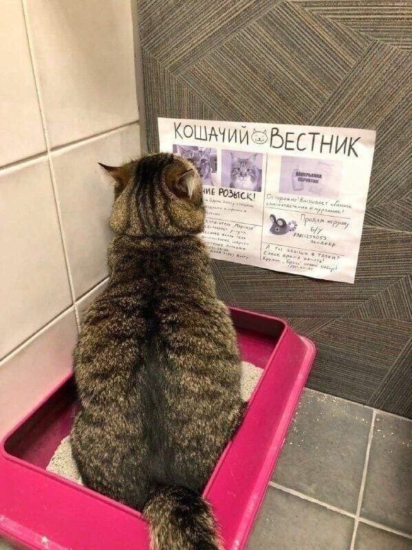 Пьяный Твиттер (@drunktwi) on Twitter photo 