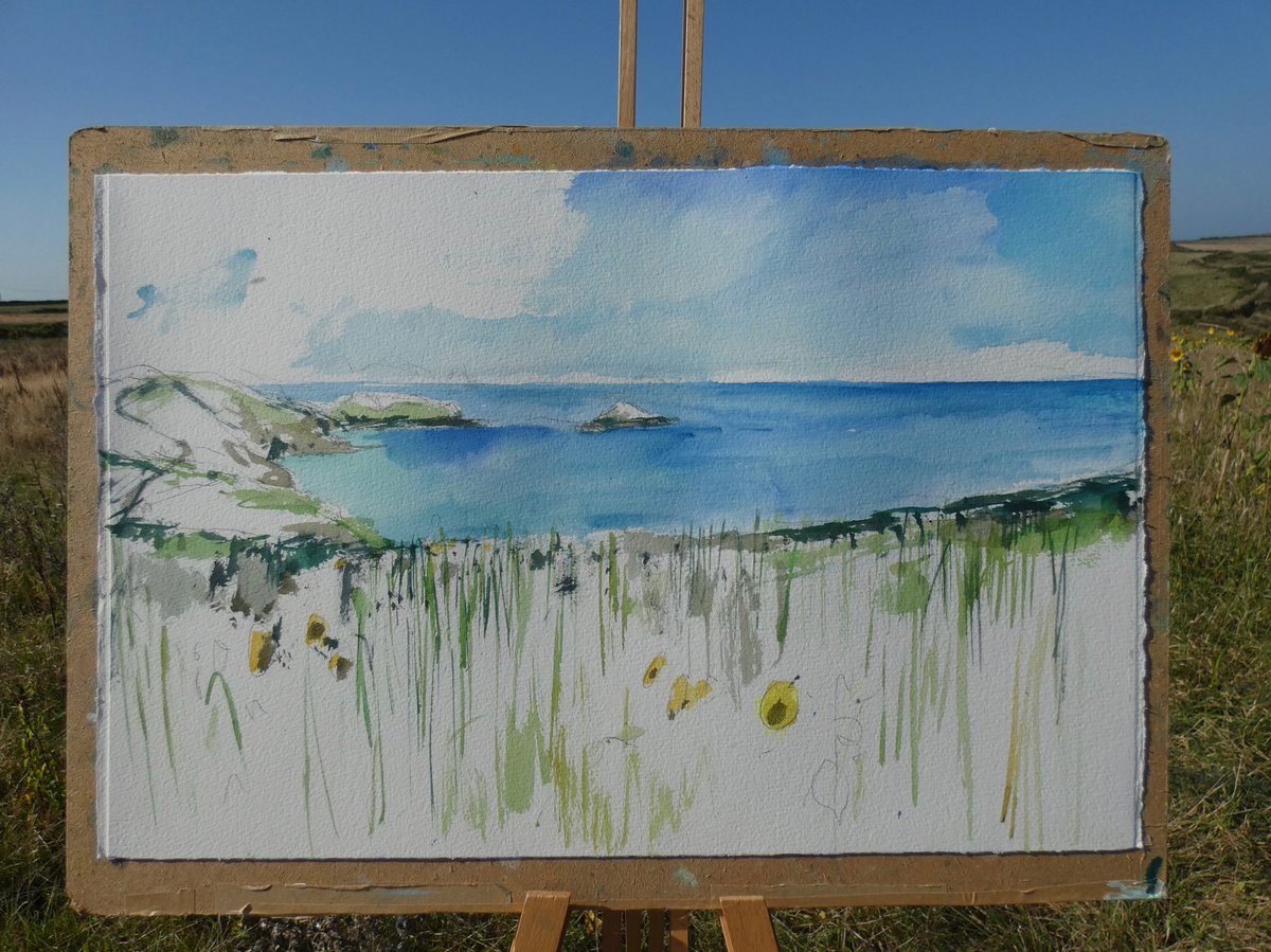 'Sunflowers, Pentire' framed and ready to go on the wall. Painted in the field, finished in the studio and finally behind glass and hanging, lovely one to paint.🌻🌻🌻 #sunflowers #nationaltrust #biodiversity #Pentire
