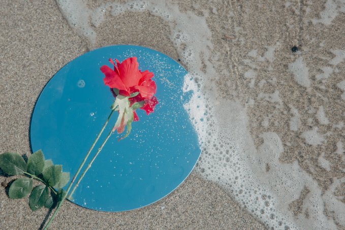 とろかめら📷/５月△/6月○/7月○ tweet media