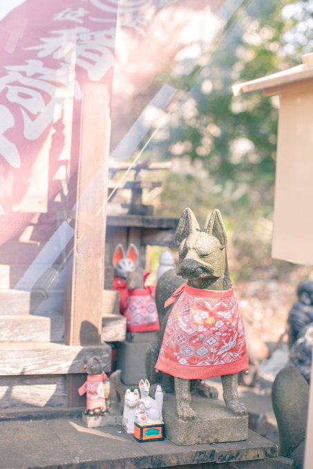 とろかめら📷/５月△/6月○/7月○ tweet media