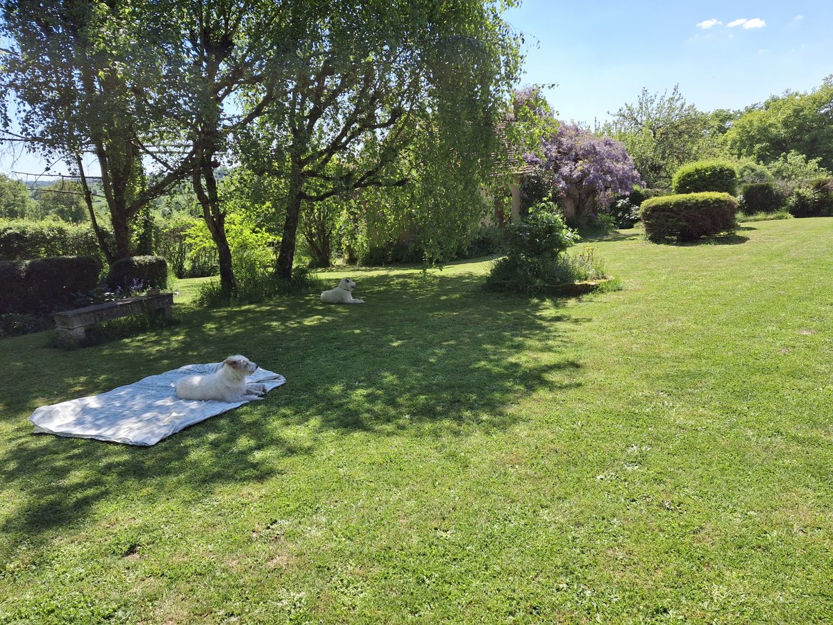 Quick bweak fwom lizarding, voling n frogging 🦎🐀🐸