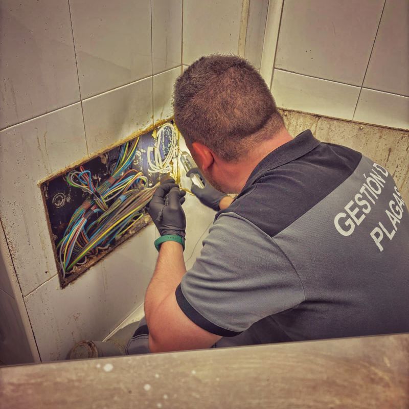 system_pest's tweet photo. #controldeplagas en restaurantes

Los técnicos realizaron aplicaciones combinadas con bajo volumen, gel cebo y trampas de captura
Las instalaciones están listas para que los clientes no se encuentren con huéspedes indeseados

#controldeplagas #sanidadambiental #plagas #cucarachas https://t.co/N4AQqICtjV