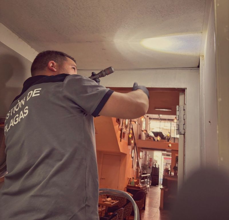 system_pest's tweet photo. #controldeplagas en restaurantes

Los técnicos realizaron aplicaciones combinadas con bajo volumen, gel cebo y trampas de captura
Las instalaciones están listas para que los clientes no se encuentren con huéspedes indeseados

#controldeplagas #sanidadambiental #plagas #cucarachas https://t.co/N4AQqICtjV