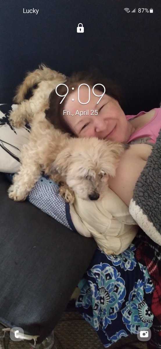 Our pup lulu passed away this morning, she was 16. In this picture, she was in her happy spot.