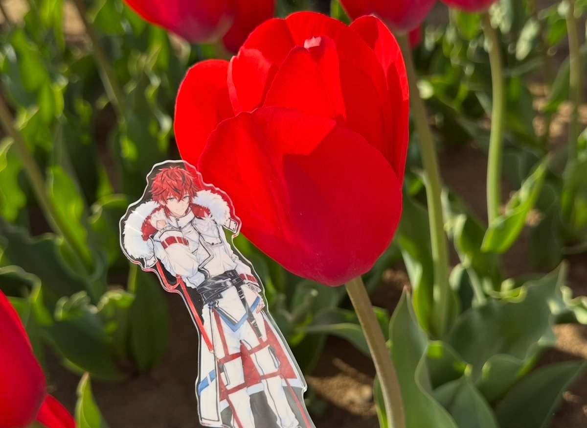 ruki 🥀💫❤️ tweet media