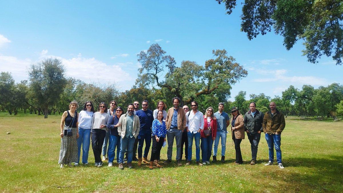sosprodehesa's tweet image. El pasado 29 de abril celebramos una nueva reunión de coordinación del proyecto, en la que los socios del consorcio revisamos los avances, planificamos próximas acciones y compartimos ideas para seguir fortaleciendo la gestión sostenible y resiliente de la Dehesa y el Montado🌳