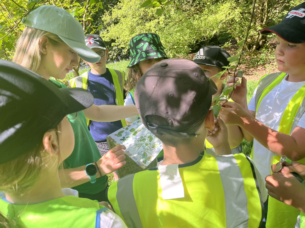 Mrs R Utteridge tweet media