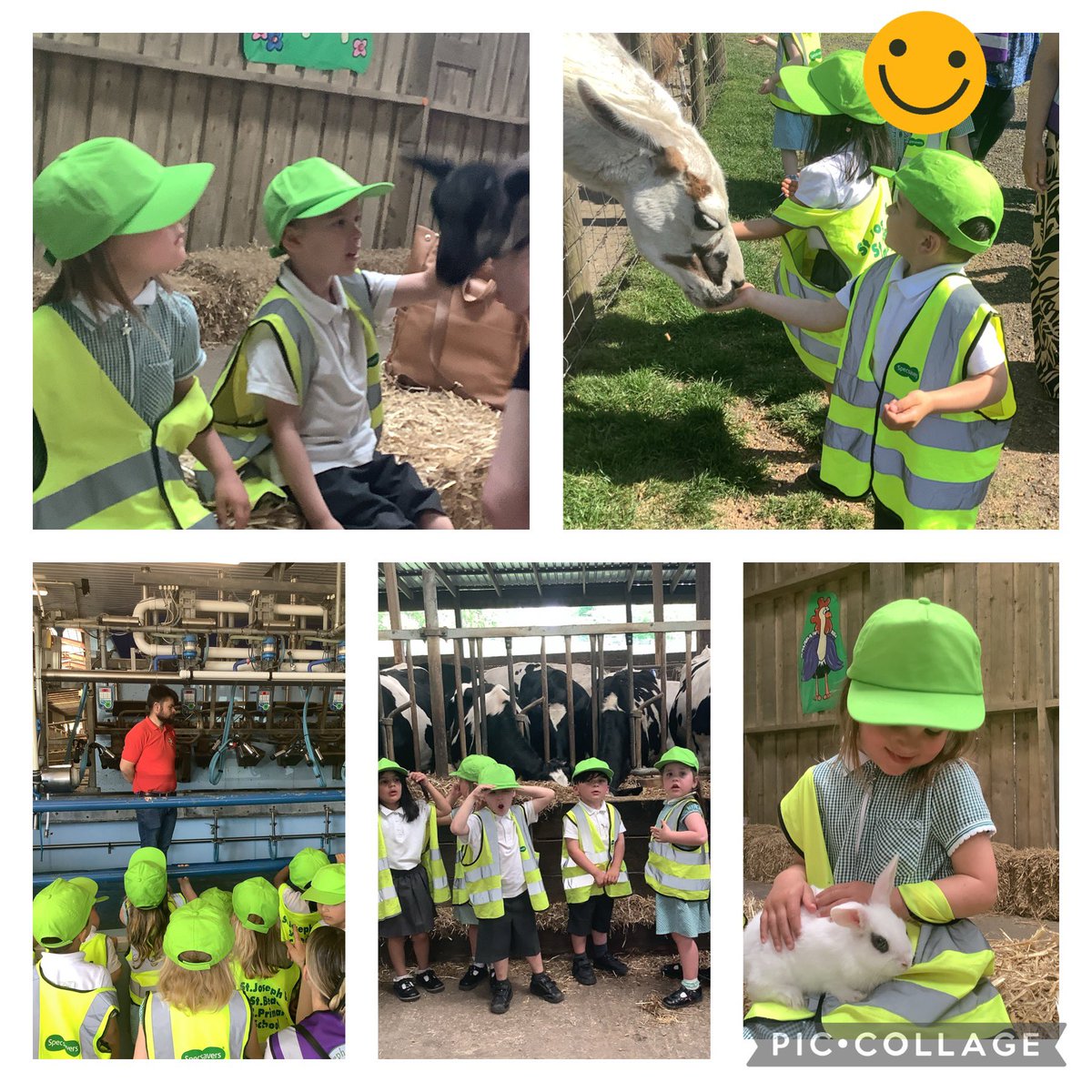 Mrs Ellison (@sjsbmrsellison) on Twitter photo We have had a fantastic time at <a href="/Smithillsfarm/">Smithills Open Farm</a> today 🐐🐥🚜We fed lots of animals, found out how to milk cows and even rode a donkey. <a href="/StJosephStBede/">StJoseph StBede RCPS</a> #EYFS #UtW We have had a fantastic time at <a href="/Smithillsfarm/">Smithills Open Farm</a> today 🐐🐥🚜We fed lots of animals, found out how to milk cows and even rode a donkey. <a href="/StJosephStBede/">StJoseph StBede RCPS</a> #EYFS #UtW