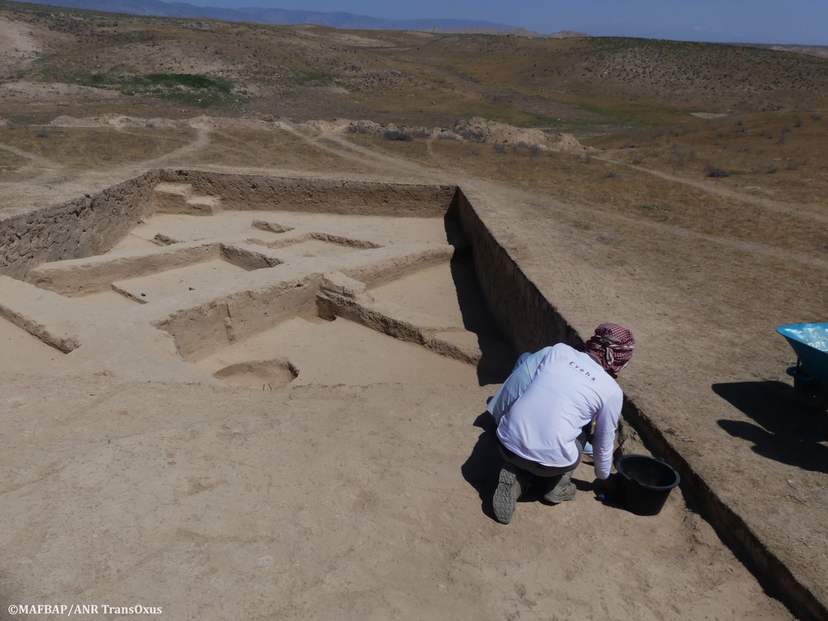 Éveha International is part of the ongoing field campaign of the Mission Archéologique Française de Bactriane Protohistorique (MAFBP) under the dir. of J. Lhuillier (CNRS - UMR 5133) and Sh. Bazarovich Shajdullaev (Termez University).

mafbap.hypotheses.org

#uzbekistan
