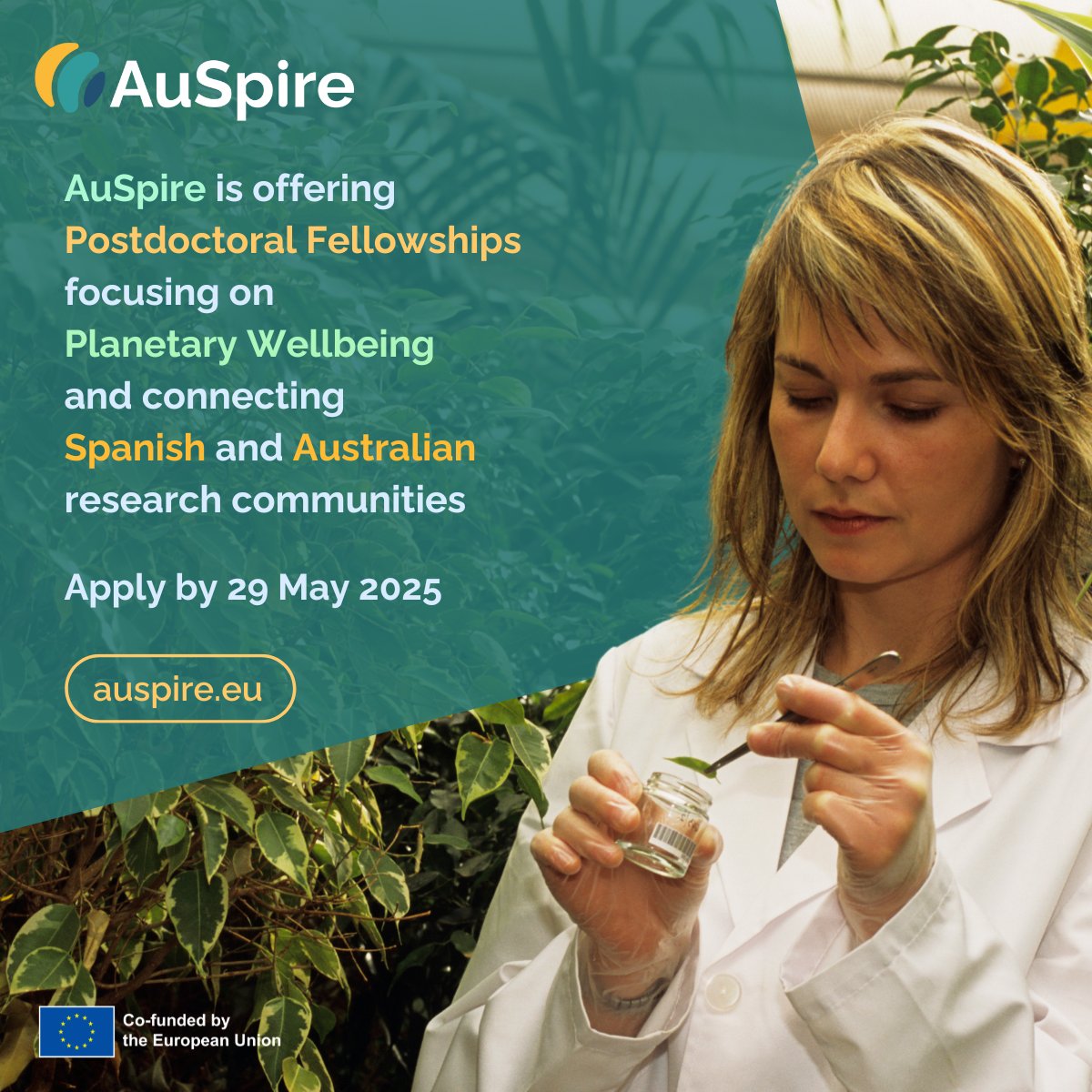 José Alberto Salinas tweet media