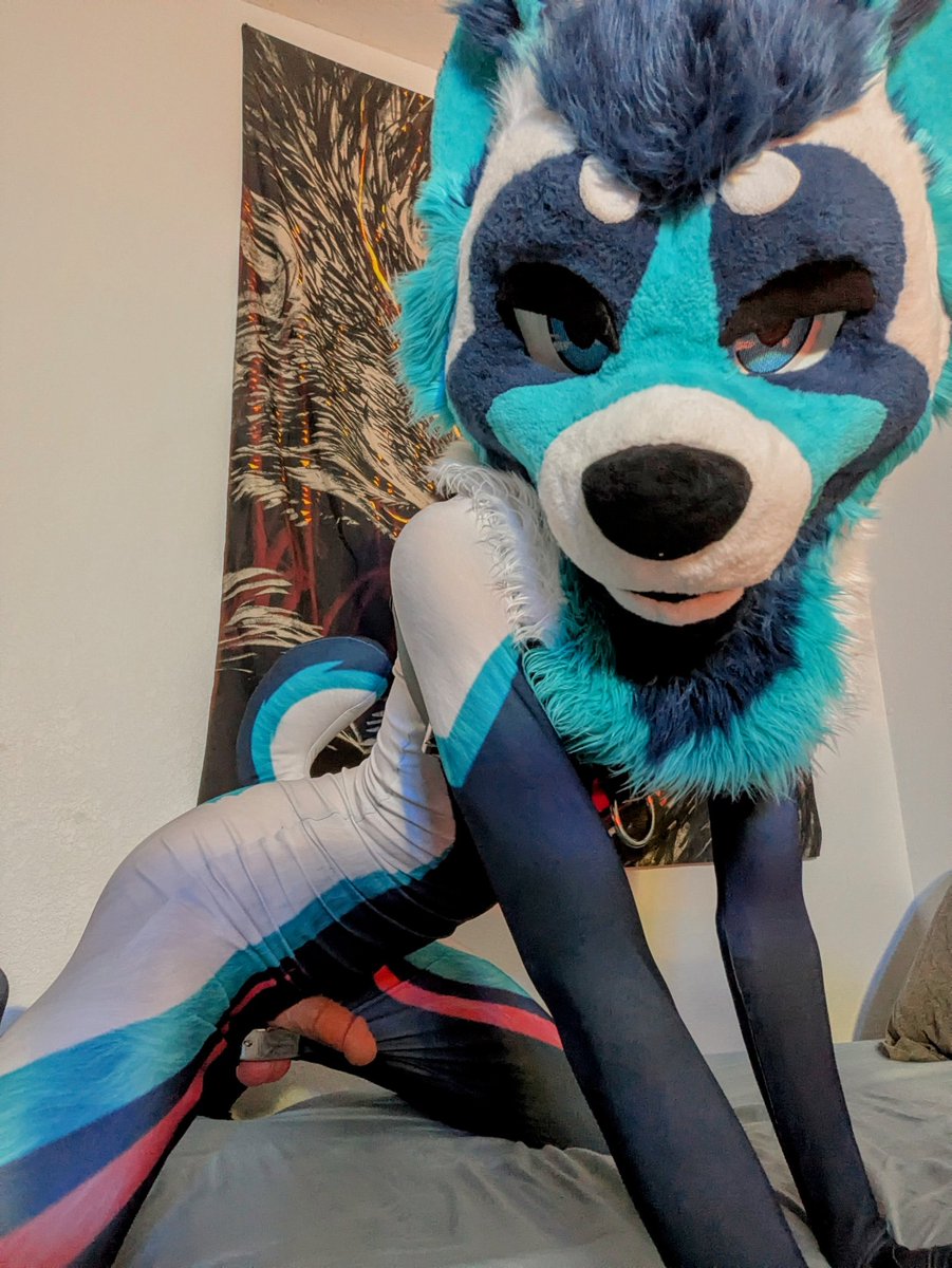 Congrats on getting into the breeding program 💦

We've paired you with a stud that loves breaking unwilling pets like you