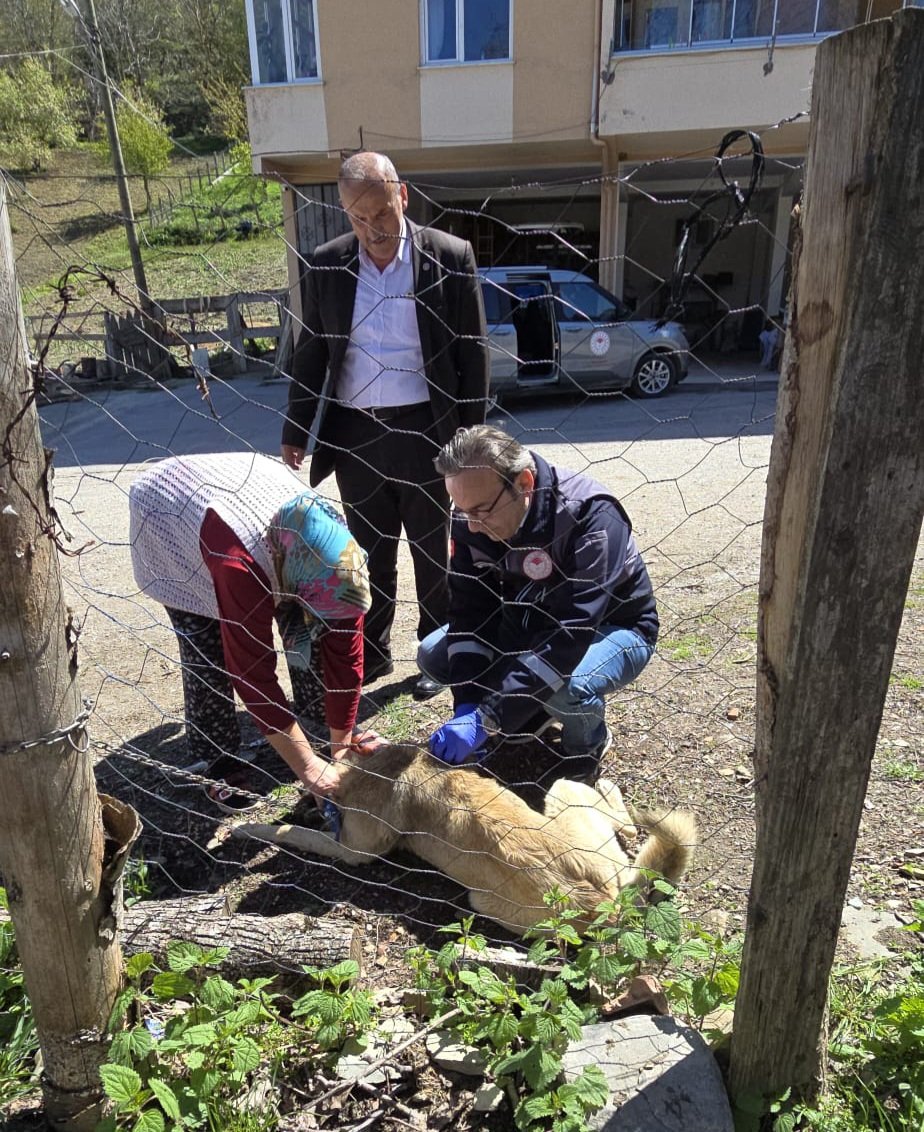 tarim_sinop's tweet photo. Sinop genelinde Sahipli Köpeklere Mikroçip uygulaması devam ediyor..🦮

Mikroçip uygulanmamış ve kimliklendirilmemiş köpek sahibi vatandaşlarımızın işlemlerini köylerde yapıyoruz. 
GÖLLER KÖYÜ .

@mustafaozarslnn
@TCSinopValiligi https://t.co/vuEgX8AESg