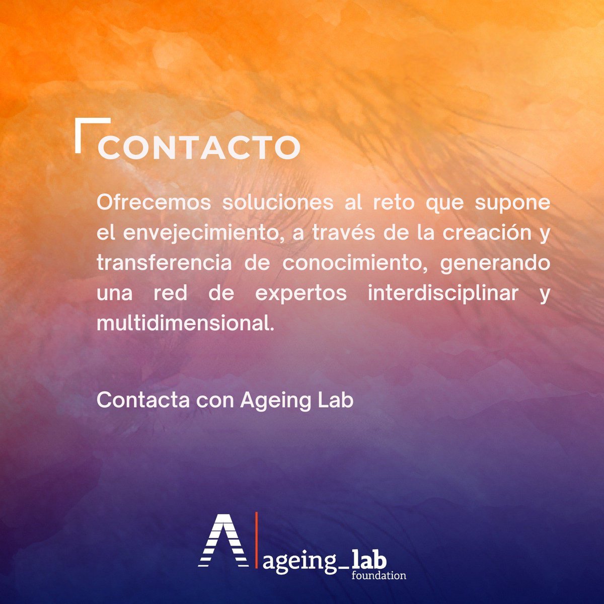 👁️👨🏻‍🦳​👩🏻‍🦳​Desde #AgeingLab ofrecemos soluciones al reto que supone el #envejecimiento, a través de la creación y transferencia de conocimiento.

🌐​Puedes contactar a través del siguiente formulario: ageinglab.org/contact/