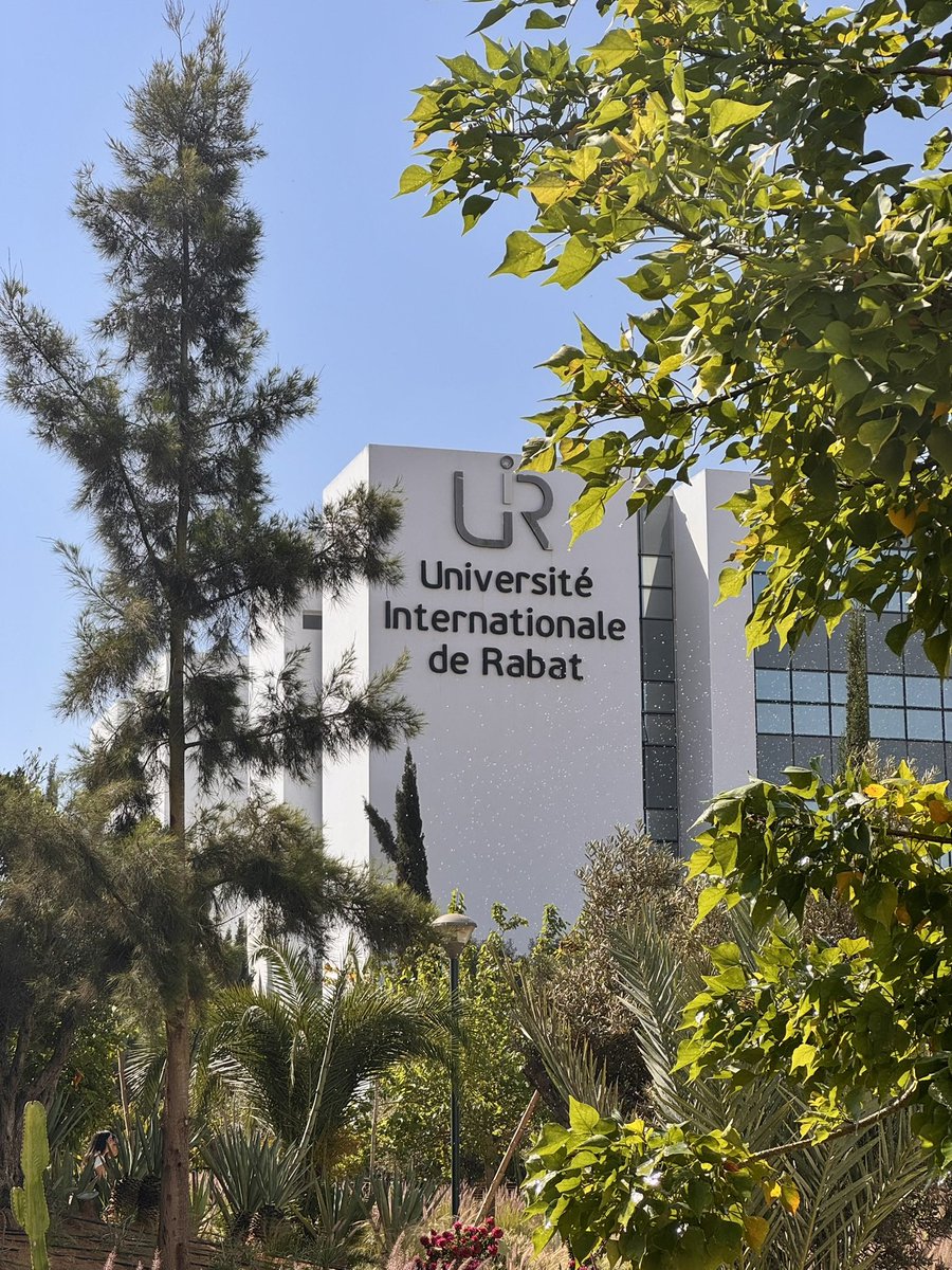 Thibaud Arnoult tweet media