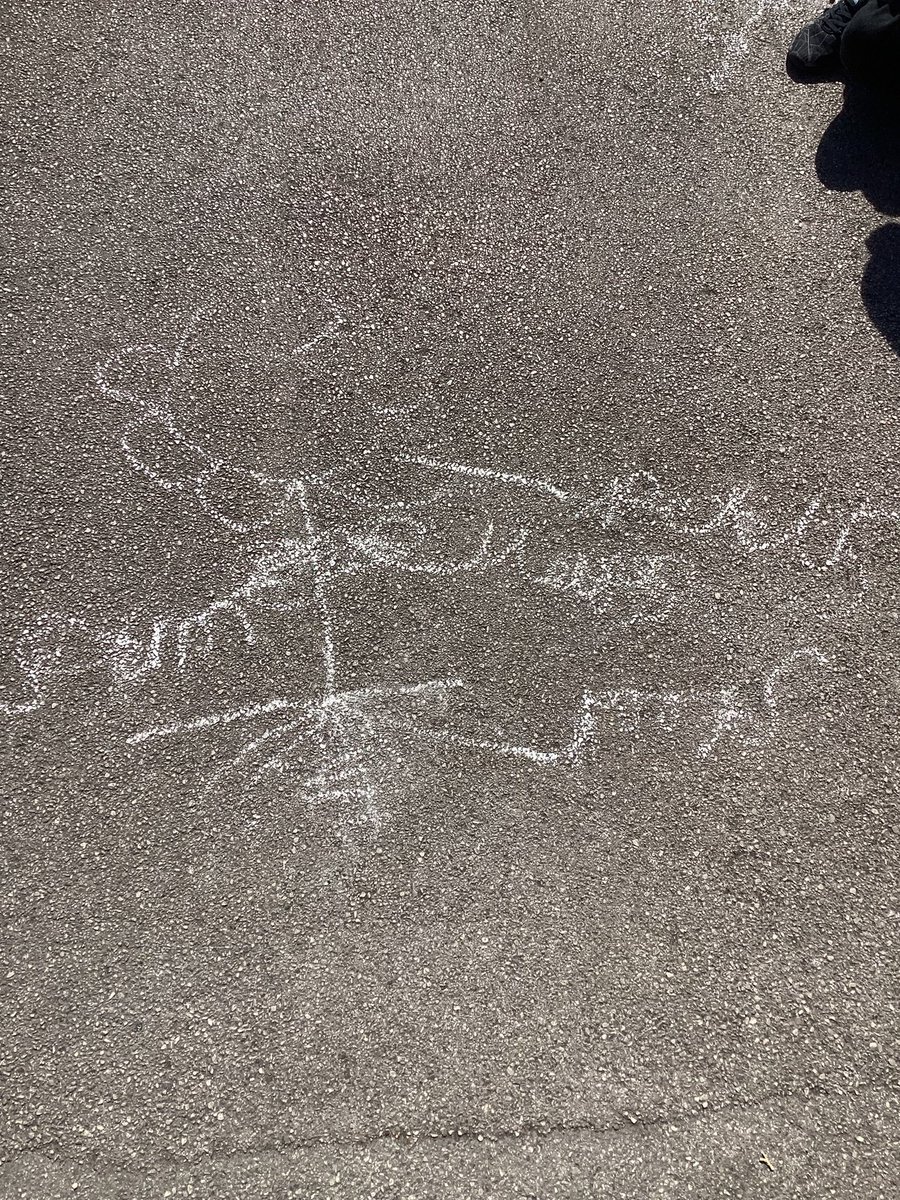 Year 1 took their science learning outside!
We have been drawing and labelling our own plants, learning all about the roots, leaves, petals, flowers, and stems. 🌷 🌷 🌷 
#year1explorers #outdoorlearning <a href="/AbbeyMead_TMET/">Abbey Mead Primary Academy</a>