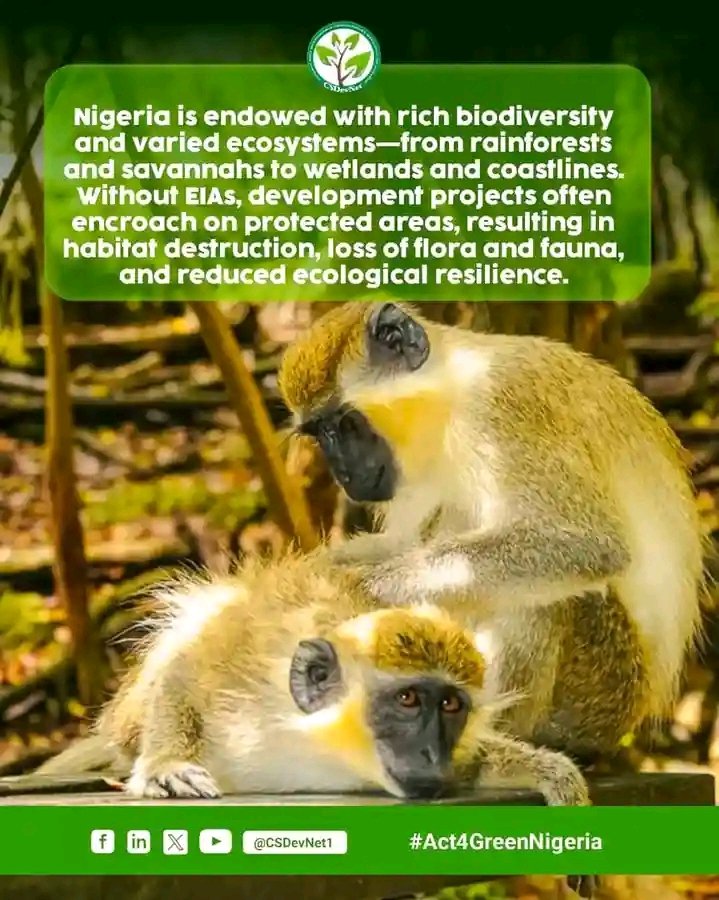 ladi18036's tweet photo. EIA helps identify and mitigate the impacts of habitat loss and fragmentation caused by development projects, which are major drivers of biodiversity loss. 

#Act4GreenNigeria #WhatHasChanged
#EnvironmentalJustice

@Csdevnet1
@CSDevNet1_Steve
@PACJA1
@EAD_FMEnvng https://t.co/Wt0FZeo90J