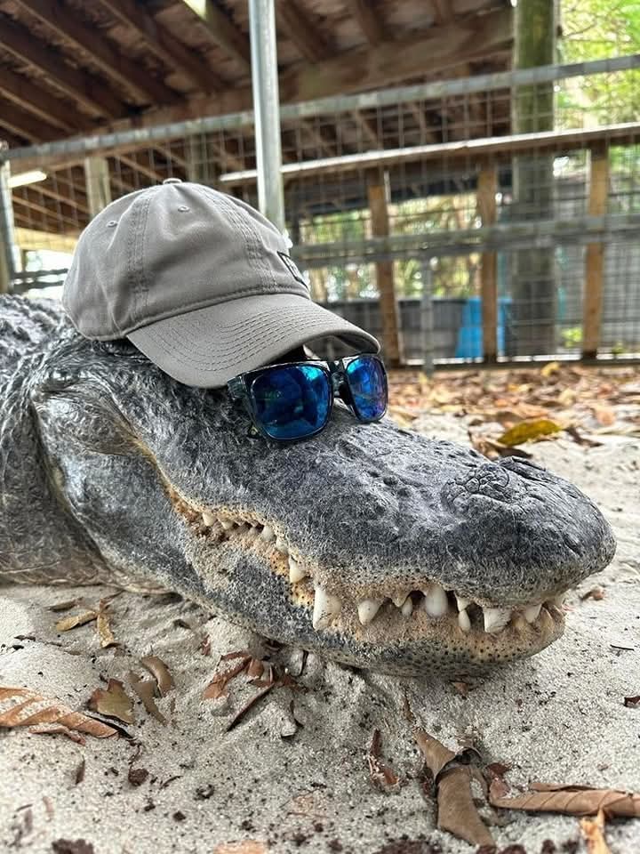 Hujan Air tweet media