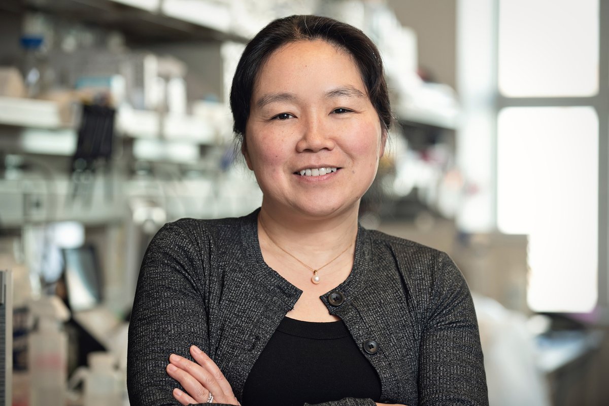 Whitehead Institute Member Yukiko Yamashita, who studies how genetic information is passed from parents to offspring, has been elected to the National Academy of Sciences. Full story on our website: wi.mit.edu/news/yukiko-ya…