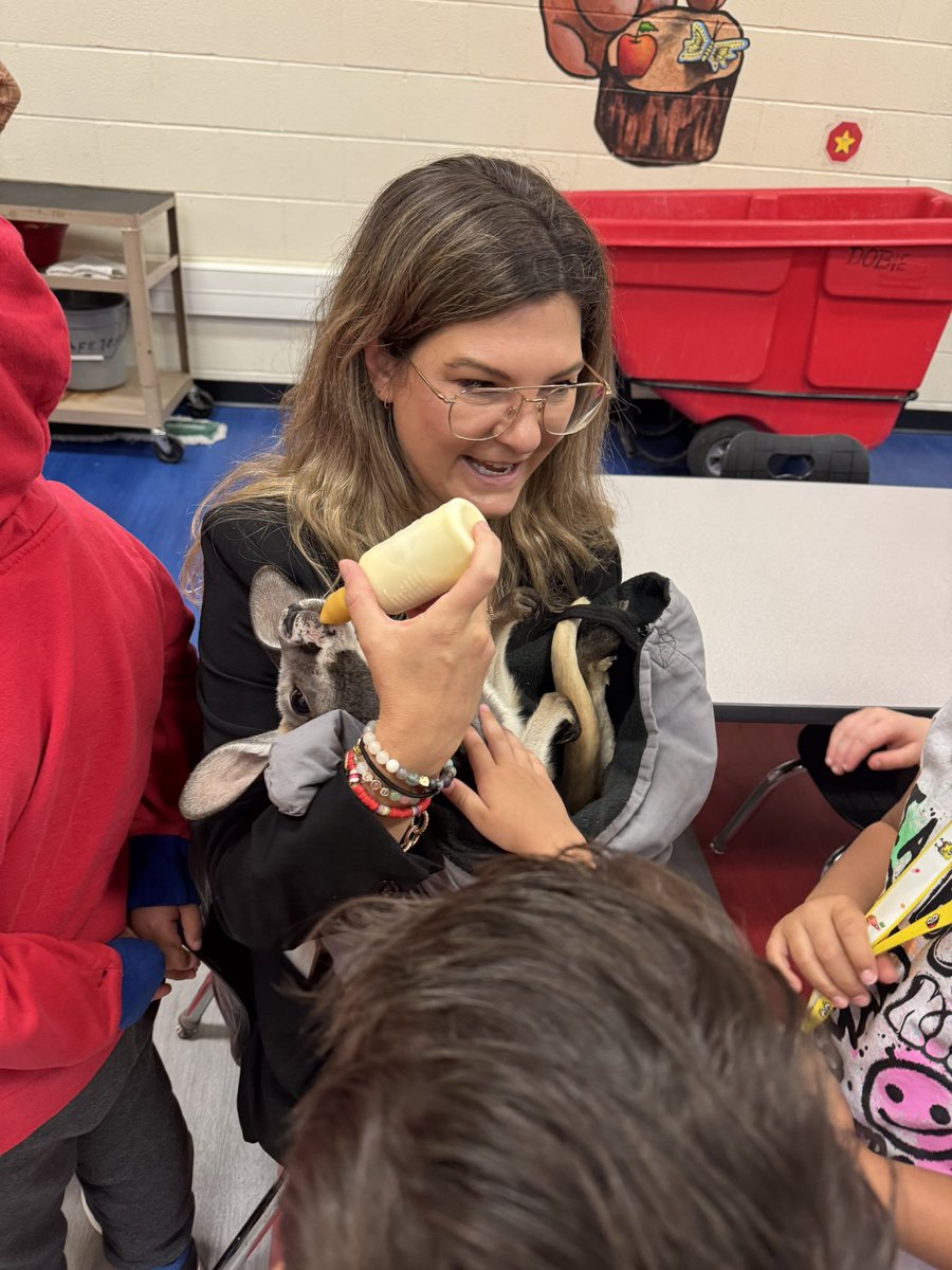 The Creature Teacher delighted our Dobie students yesterday with all sorts of animal friends! <a href="/KHprincipal/">Kirstyn Hart</a> #RisdBeTheOne  Thank you <a href="/DobiePKSchool/">Dobie Pre-Kindergarten School⭐️</a> PTA for this experience!