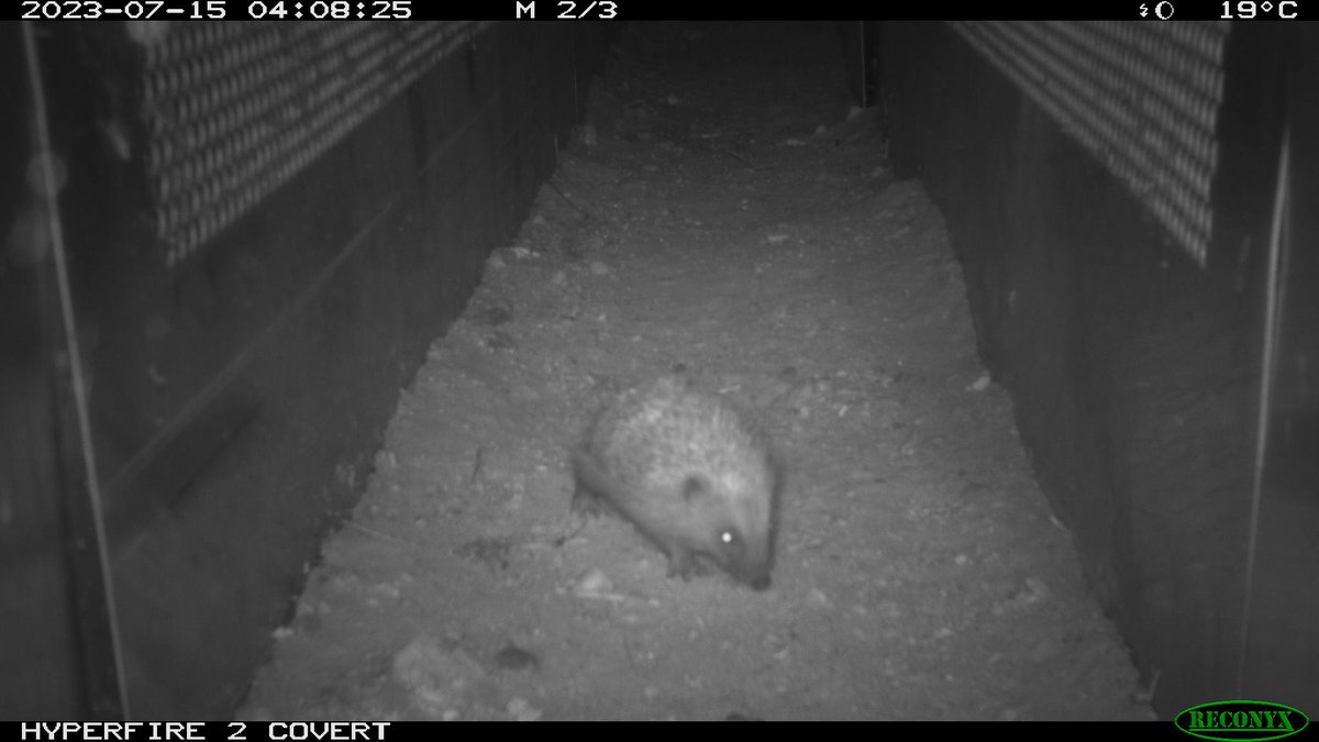 Fondation 30 Millions d'Amis tweet media